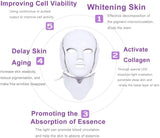 LED Facial Mask